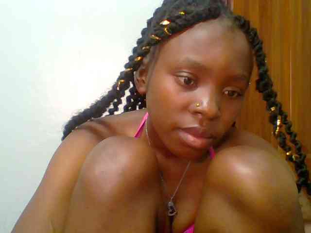 chocolate-brownie webcam