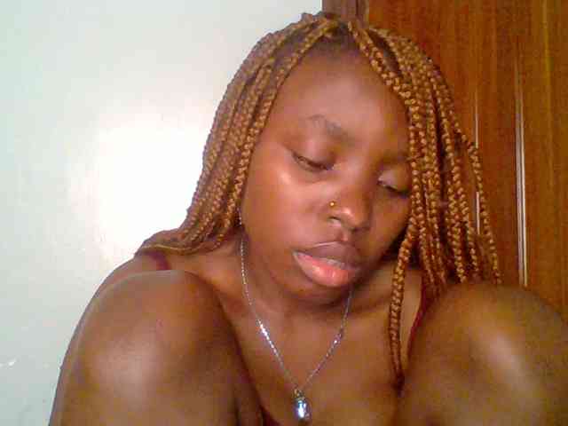 chocolate-brownie webcam