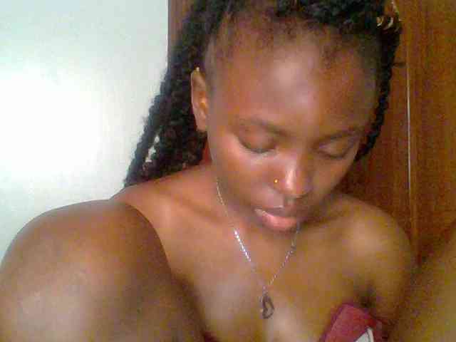 chocolate-brownie webcam