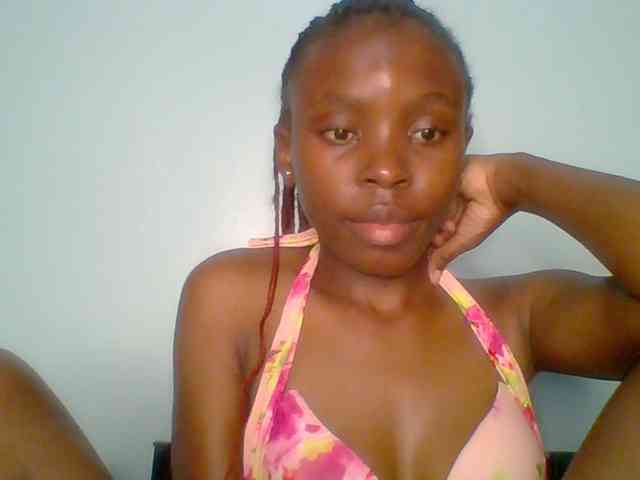 chocolate-brownie webcam