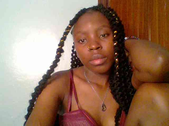 chocolate-brownie webcam