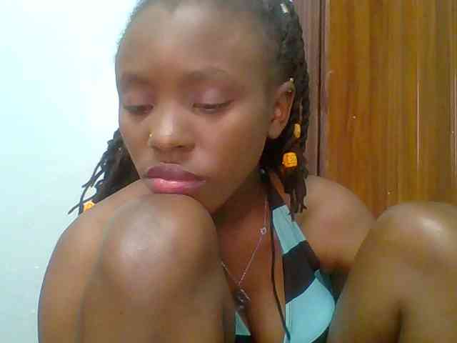 chocolate-brownie webcam