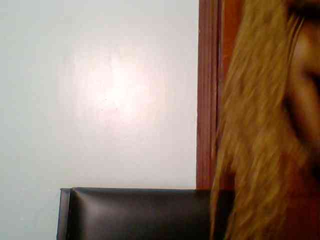 chocolate-brownie chocolate-brownie