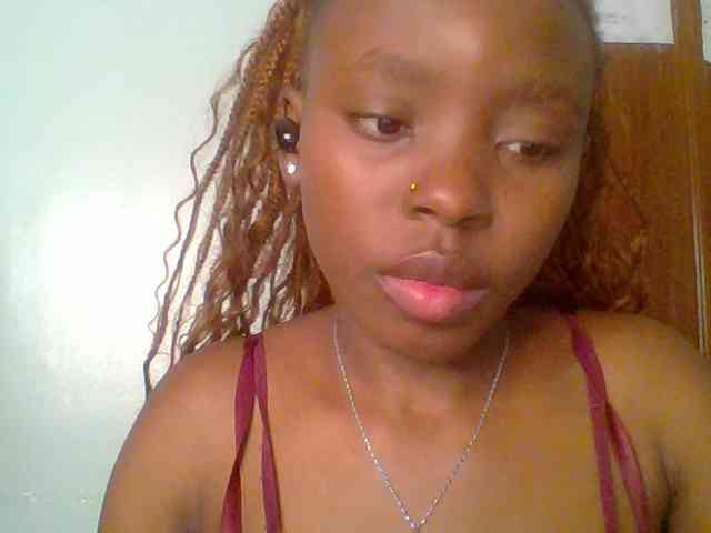 chocolate-brownie webcam