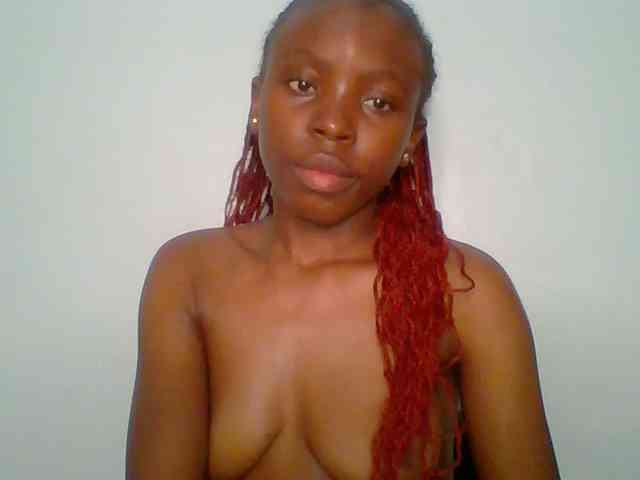 chocolate-brownie webcam