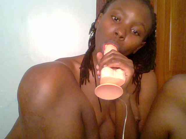 chocolate-brownie webcam