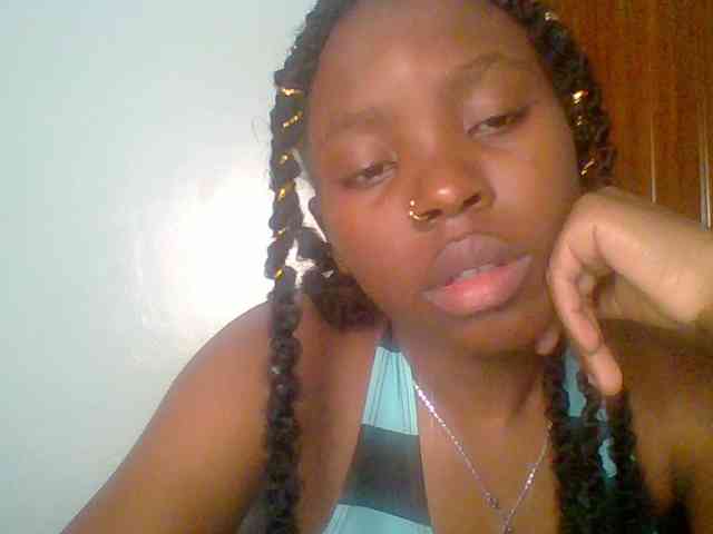 chocolate-brownie webcam