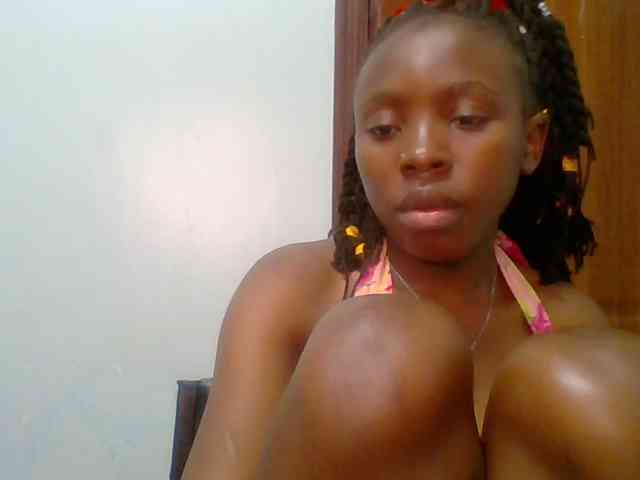 chocolate-brownie webcam