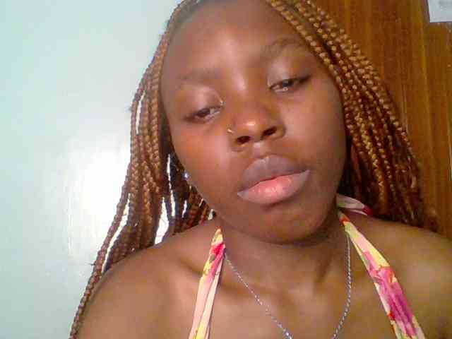 chocolate-brownie webcam