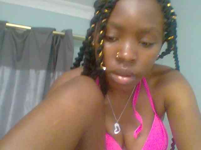 chocolate-brownie webcam