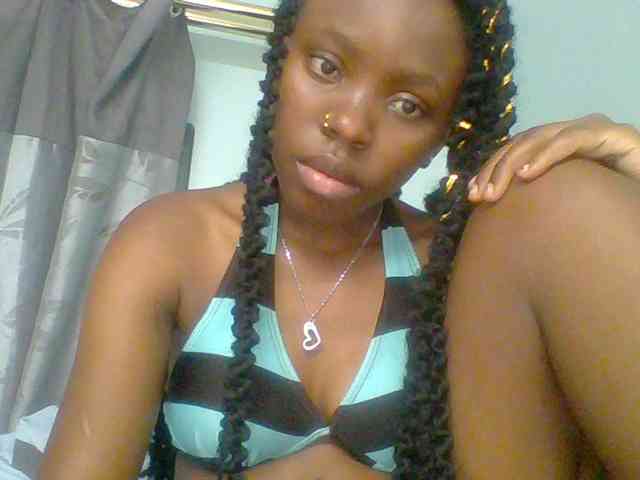 chocolate-brownie webcam