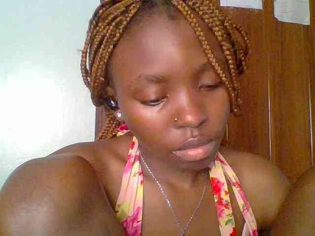 chocolate-brownie webcam