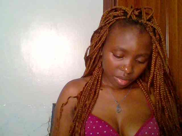 chocolate-brownie webcam