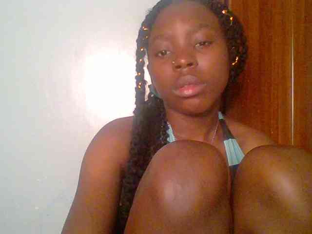 chocolate-brownie webcam