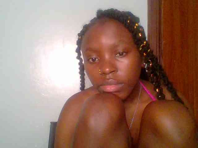 chocolate-brownie webcam