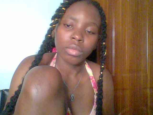 chocolate-brownie webcam