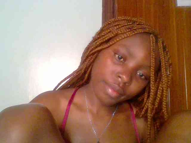 chocolate-brownie webcam