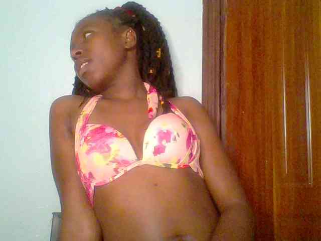 chocolate-brownie webcam