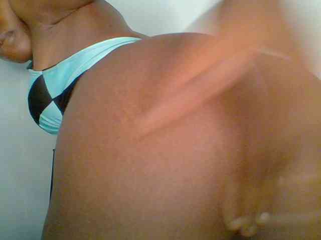 chocolate-brownie webcam