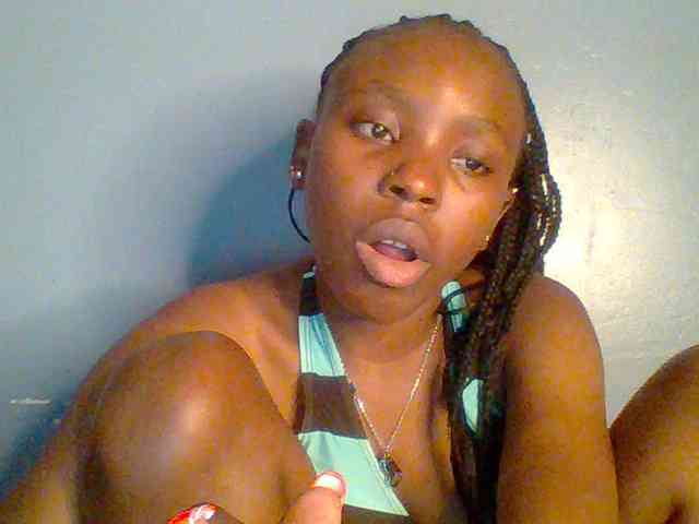 chocolate-brownie webcam