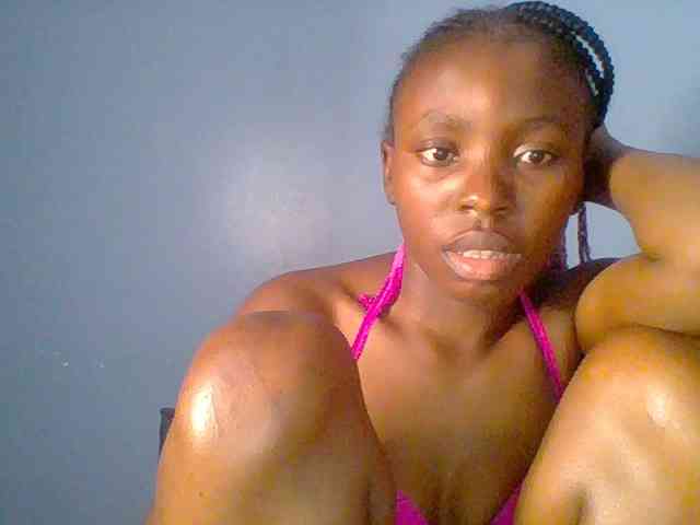 chocolate-brownie webcam