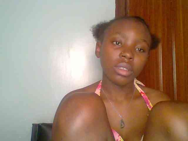 chocolate-brownie webcam