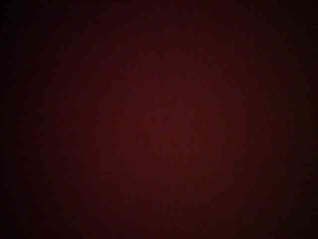 chocolate-brownie webcam