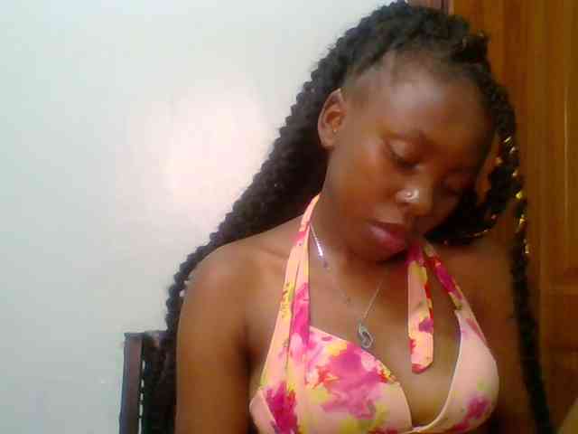 chocolate-brownie webcam