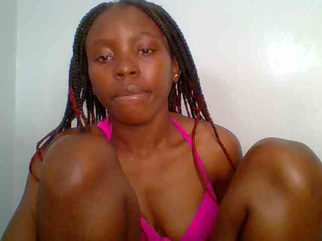 chocolate-brownie webcam