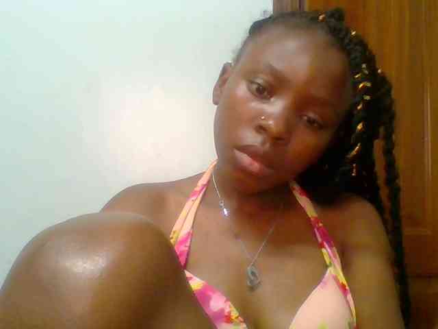 chocolate-brownie webcam