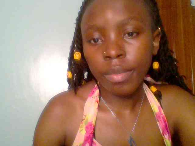 chocolate-brownie webcam