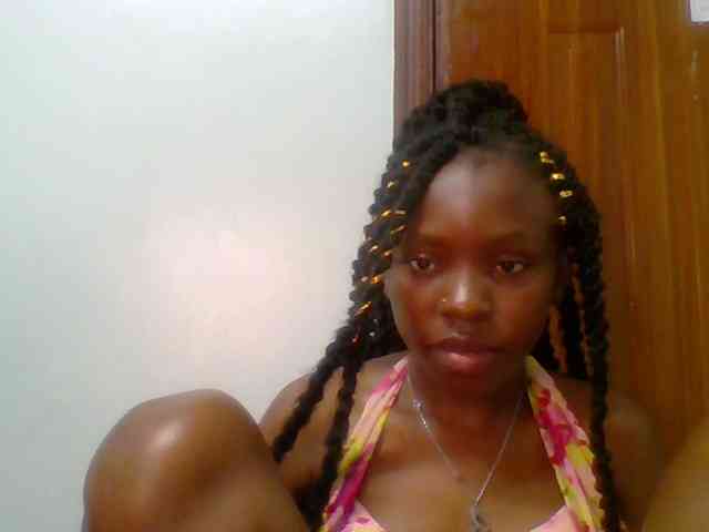 chocolate-brownie webcam