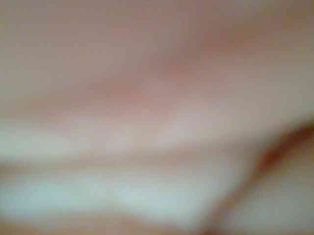 chocolate-brownie webcam