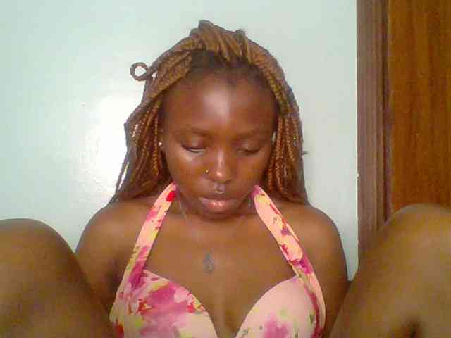 chocolate-brownie webcam