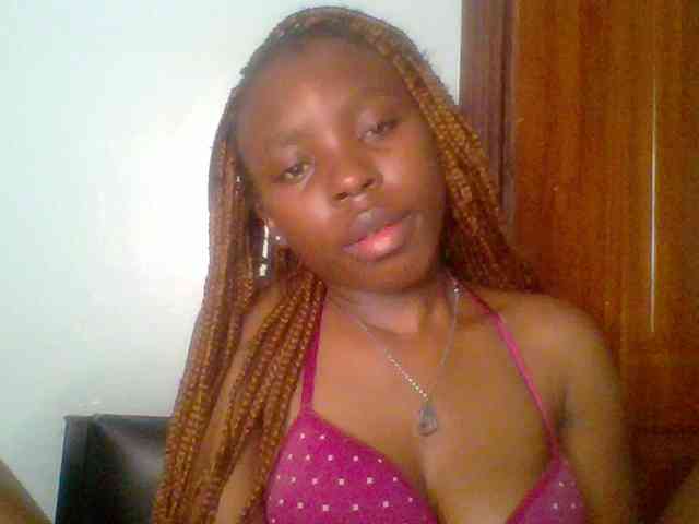 chocolate-brownie webcam