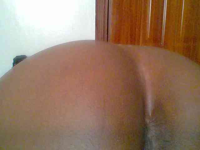 chocolate-brownie webcam