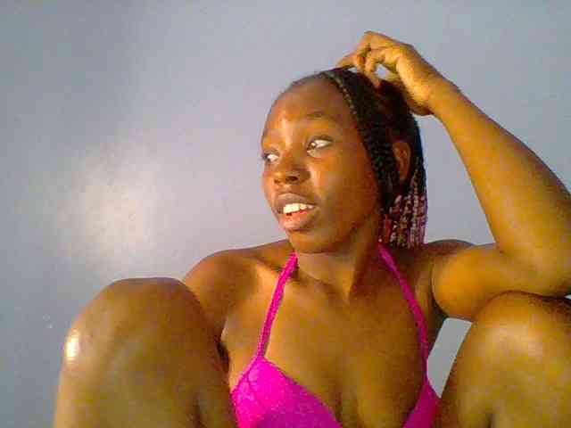 chocolate-brownie webcam