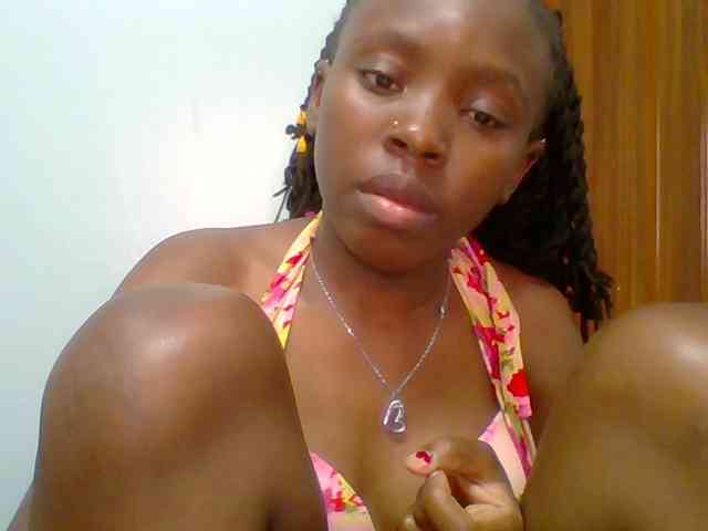 chocolate-brownie webcam