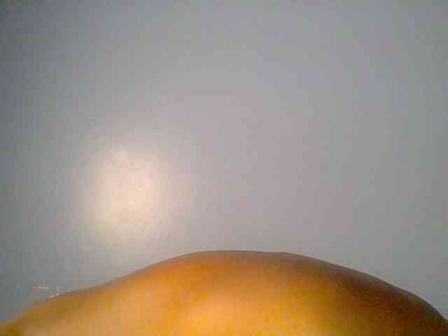 chocolate-brownie webcam