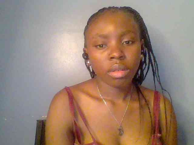 chocolate-brownie webcam