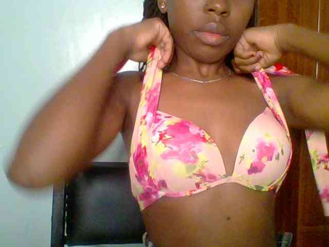 chocolate-brownie webcam