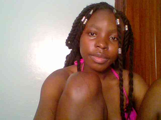 chocolate-brownie webcam