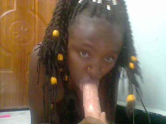 chocolate-brownie webcam