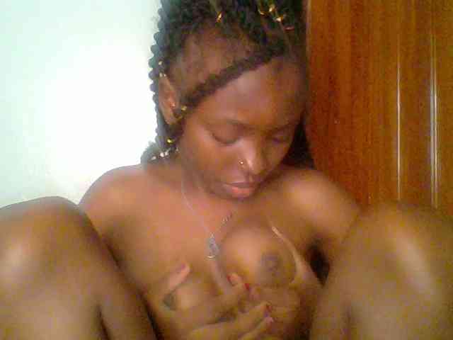 chocolate-brownie webcam