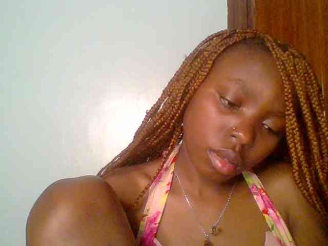 chocolate-brownie webcam