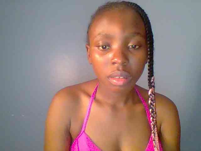 chocolate-brownie webcam