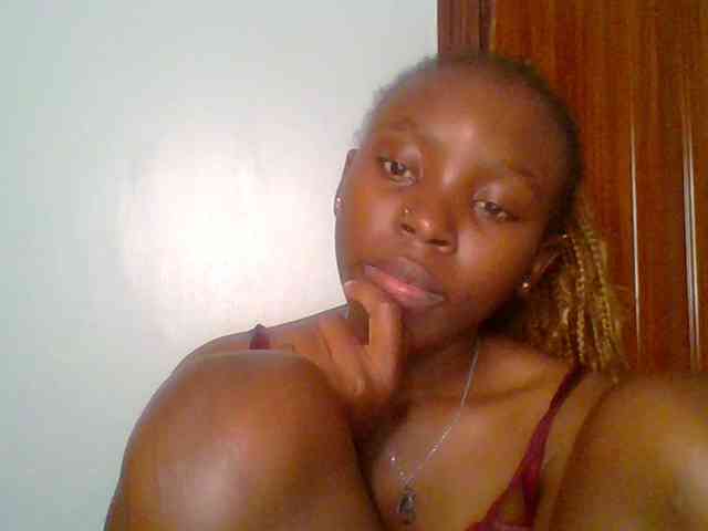 chocolate-brownie webcam