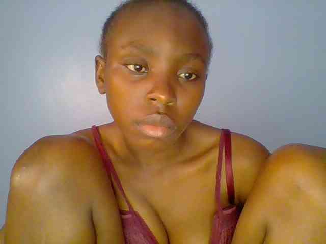 chocolate-brownie webcam