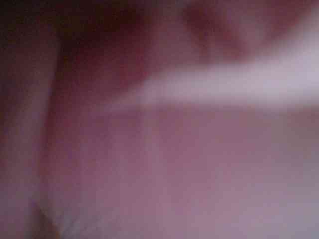 chocolate-brownie webcam