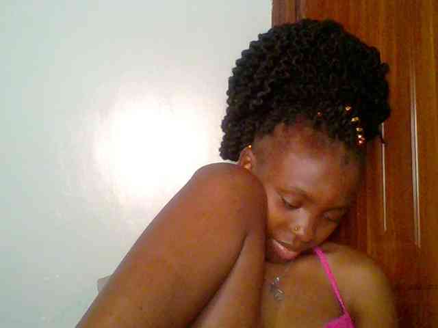 chocolate-brownie webcam